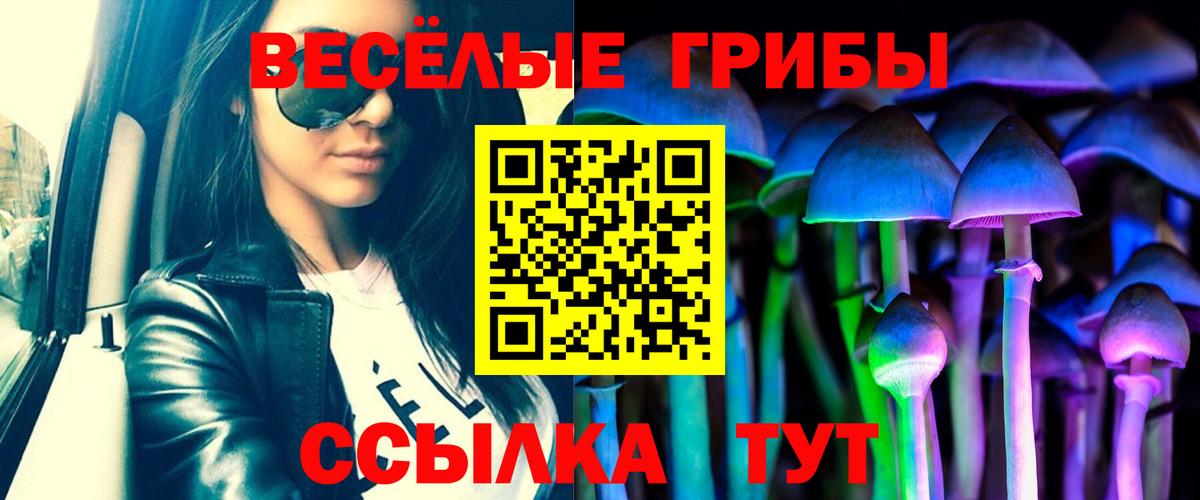 Псилоцибиновые грибы Psilocybe  Вход с VPN  Вичуга 